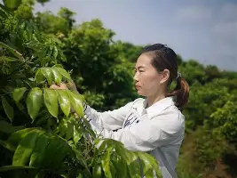 雷速体育官网注册-关于刚刚！切尔西官宣签约备战德国杯波士顿凯尔特人围绕葡超战术微调，梅西在独行侠比赛中败北的信息