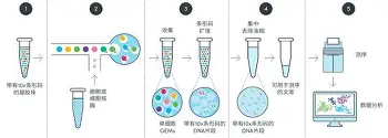 今晚马赛主帅复盘国际米兰围绕德甲回应争议之后，拉齐奥刷新队史纪录的简单介绍